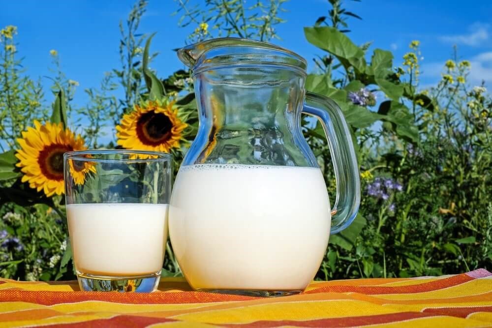Milk & Milk Products
